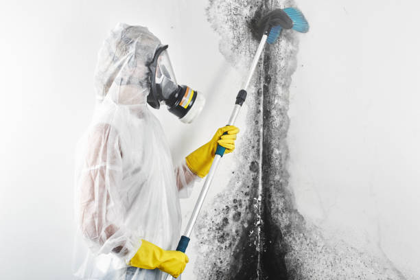 Best Forensic Mold Investigation  in Moundridge, KS