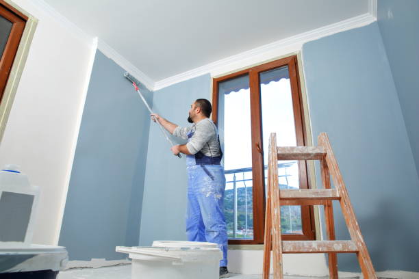 Best Mold Odor Removal Services  in Moundridge, KS