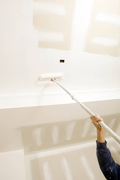 Best Mold Damage Restoration  in Moundridge, KS
